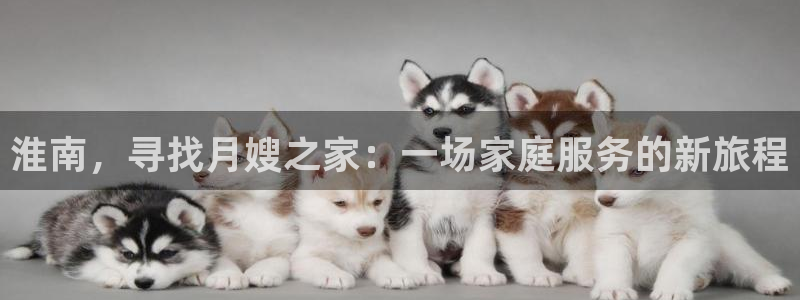 杏悦娱乐怎么玩