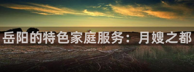 杏悦娱乐平台靠谱吗