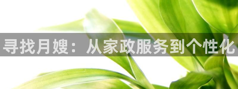 杏悦注册官网