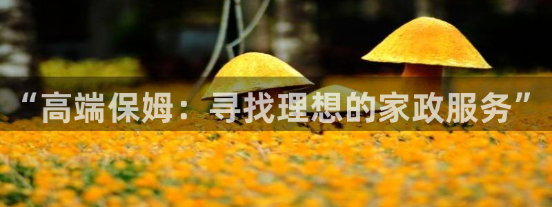 杏悦娱乐是什么