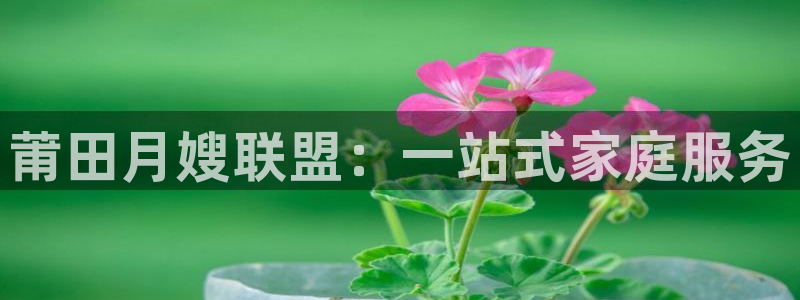 杏悦平台代理怎么赚钱