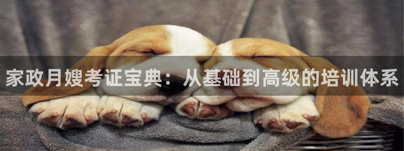 杏悦官网登录入口网址