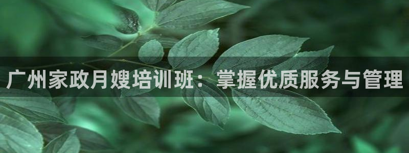 杏悦平台代理怎么样可靠吗